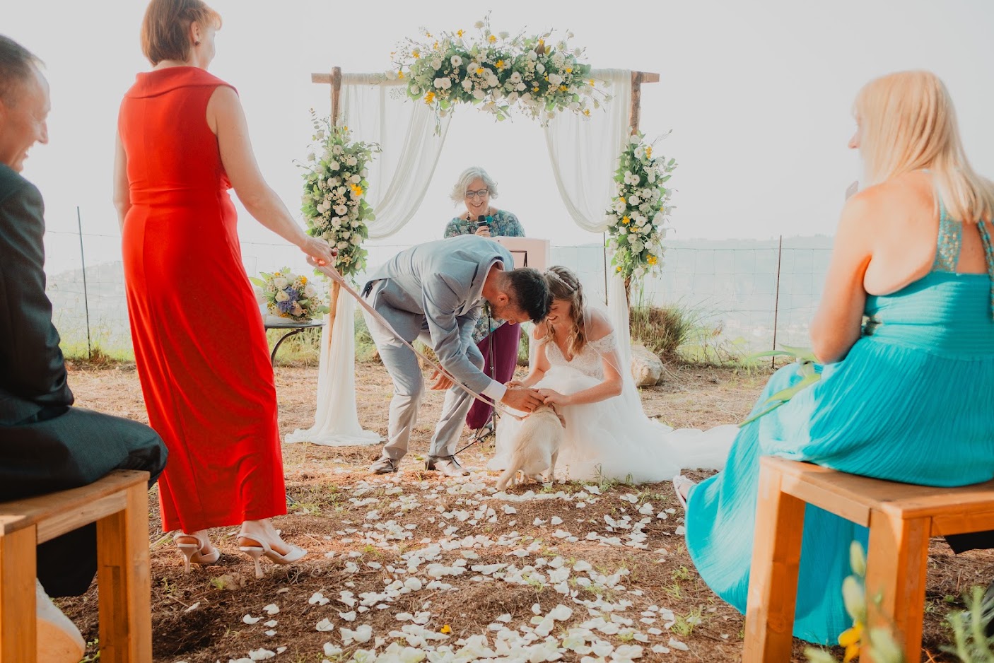 Un cane porta le fedi nuziali A dog is the wedding's rings baerer
