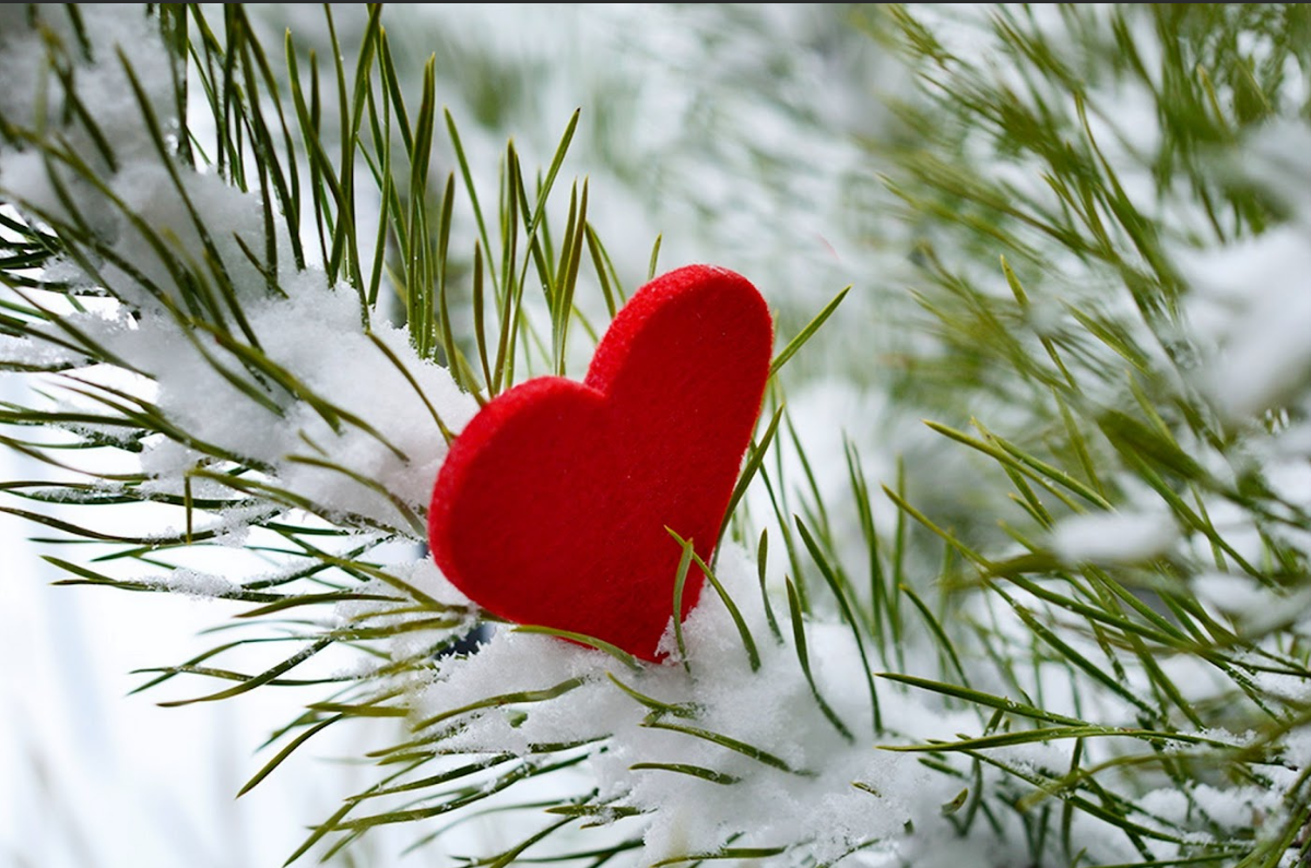 celebranti.com-SanValentinoInvernale-HeartInTheSnow-CuoreNellaneve-Credit-celebranti.com