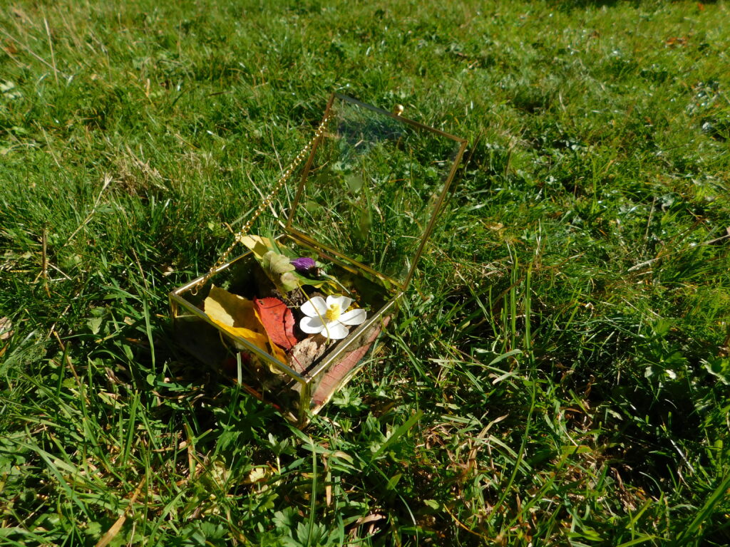 celebranti.com-NamingCeremony-CerimoniaDiBenvenuto-Amici-Parenti-Prato-RitoDellaScatola-credit-AntonioZavarella